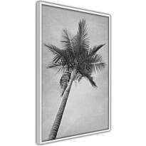 Juliste Artgeist High Palm Tree, kehyskartongilla, kehyksillä, eri kokoja