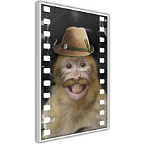 Juliste Artgeist Monkey In Hat, kehyskartongilla, kehyksillä, eri kokoja