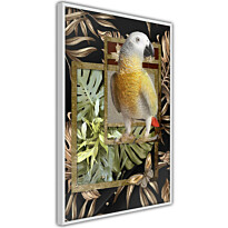 Juliste Artgeist Golden Parrot, kehyskartongilla, kehyksillä, eri kokoja