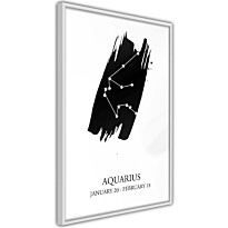 Juliste Artgeist Zodiac Signs: Aquarius, kehyksillä, eri kokoja