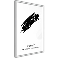 Juliste Artgeist Zodiac Signs: Scorpio, kehyksillä, eri kokoja