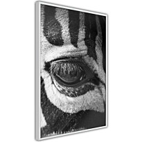 Juliste Artgeist Zebra Eye, kehyskartongilla, kehyksillä, eri kokoja