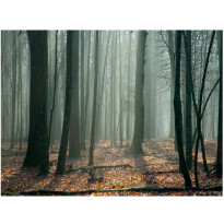 Kuvatapetti Artgeist Witches&#039; forest, eri kokoja