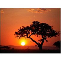 Maisematapetti Artgeist Afrikka: auringonlaskussa, eri kokoja