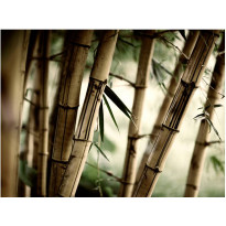 Kuvatapetti Artgeist Fog and bamboo forest, eri kokoja