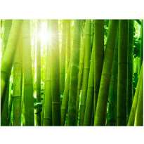 Kuvatapetti Artgeist Aurinko ja bambu, eri kokoja