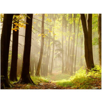 Kuvatapetti Artgeist Mysterious forest path, eri kokoja
