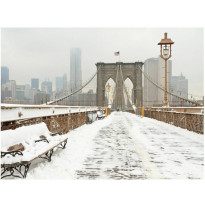 Maisematapetti Artgeist Lumen peitossa New Yorkissa, eri kokoja