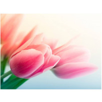 Kuvatapetti Artgeist Spring and tulips, eri kokoja