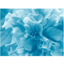Kuvatapetti Artgeist Blue Azalea Flower, eri kokoja
