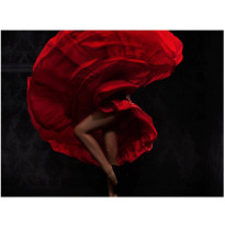 Kuvatapetti Artgeist Flamenco dancer, eri kokoja