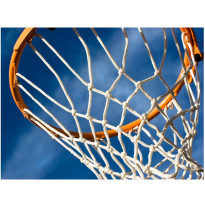 Kuvatapetti Artgeist Sport: basketball, eri kokoja