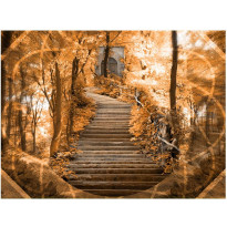 Kuvatapetti Artgeist Stairs to paradise, eri kokoja