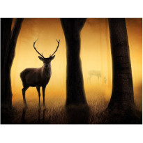Kuvatapetti Artgeist Deer in his natural habitat, eri kokoja
