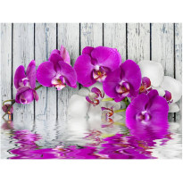 Kuvatapetti Artgeist Violet orchids with water reflexion, eri kokoja