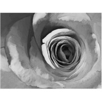 Kuvatapetti Artgeist Mustavalkoinen ruusu, eri kokoja