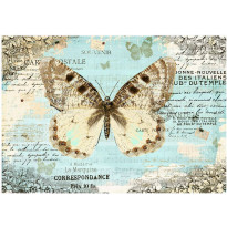 Kuvatapetti Artgeist Postcard with butterfly, eri kokoja
