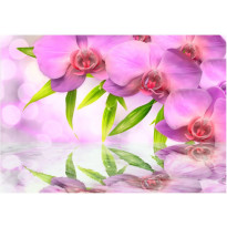 Kuvatapetti Artgeist Orchids in lilac colour, eri kokoja