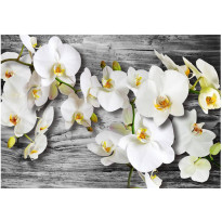 Kuvatapetti Artgeist Callous orchids III, eri kokoja