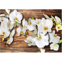 Kuvatapetti Artgeist Forest Orchid, eri kokoja