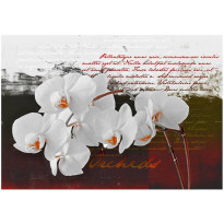 Kuvatapetti Artgeist Diary and orchid, eri kokoja