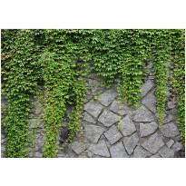 Kuvatapetti Artgeist Green wall, eri kokoja
