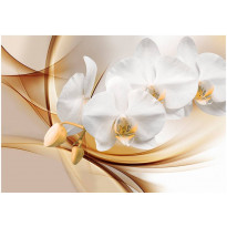 Kuvatapetti Artgeist Orchid blossom, eri kokoja