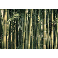Kuvatapetti Artgeist Bamboo Exotic, eri kokoja