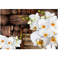 Kuvatapetti Artgeist Blooming orchids, eri kokoja