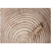 Kuvatapetti Artgeist Wood grain, eri kokoja