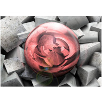 Kuvatapetti Artgeist Stone rose, eri kokoja