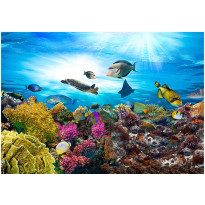 Kuvatapetti Artgeist Coral reef, eri kokoja