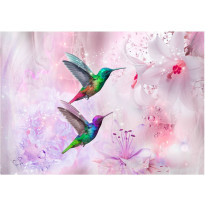 Kuvatapetti Artgeist Colourful Hummingbirds Purple, eri kokoja