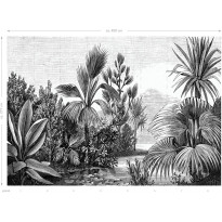 Maisematapetti Esta Paradise XL Jungle Engraving, 4x2,79m