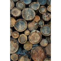 Paneelitapetti PhotowallXL Wood Logs 158206, 1860x2790mm, ruskea