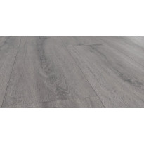 Vinyyli Flooria SPC Wood P1002 Aspen Oak