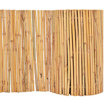 Bambuaita, 500x30cm