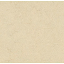 Linoleumilaatta Forbo Marmoleum Click Barbados, 30x30cm, kermanvalkoinen