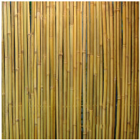 Bambuaita Home4you In Garden, 150x300cm