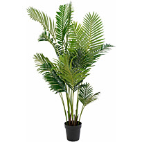 Tekokasvi House Nordic Puistokultapalmu Areca Palm, 175cm, vihreä