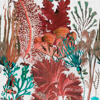 Paneelitapetti Mindthegap Coral reef, 1.56x3m, punainen