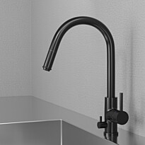 Keittiöhana Scandtap Steel Access Shadow D, ulosvedettävällä suuttimella ja pesukoneventtiilillä