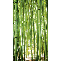 Kuvatapetti One Roll One Motif Bambu, 1.59x2.80m, non-woven