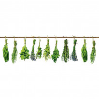 Välitilatarra Dimex Herbs, 180-350x60cm