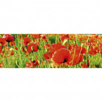 Välitilatarra Dimex Red Poppies, 180-350x60cm