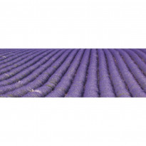 Välitilatarra Dimex Lavender Field, 180-350x60cm