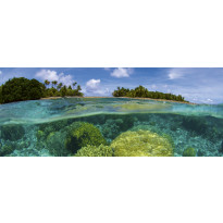 Maisematapetti Dimex Coral Reef, 375x150cm