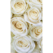 Kuvatapetti Dimex White Roses, 150x250cm