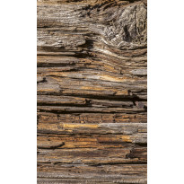 Kuvatapetti Dimex Tree Bark, 150x250cm