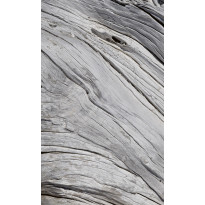 Kuvatapetti Dimex Tree Texture, 150x250cm